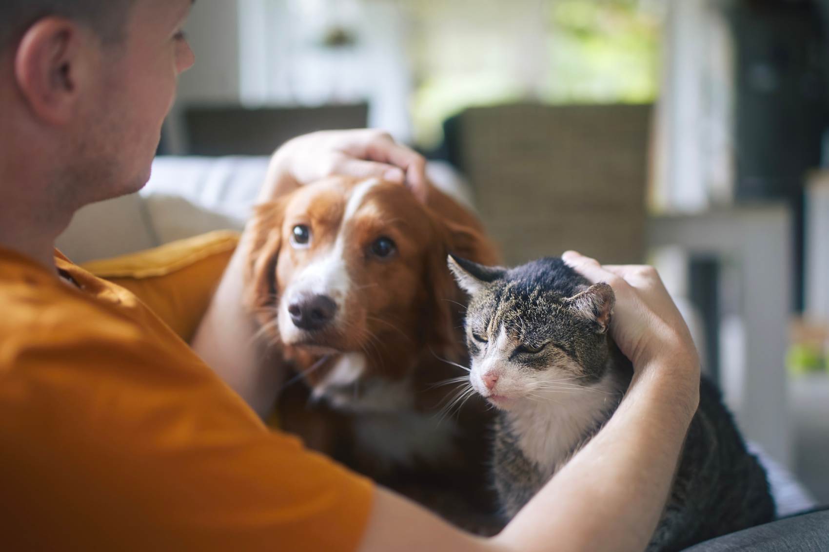 Man gently petting a dog and a cat while relaxing indoors on a sofa.